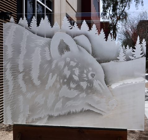 Partition with a Frosted Glass Brown Bear Wildlife Design for Semi-Private by Sans Soucie Art Glass