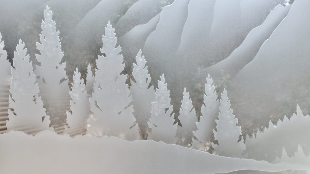 Close-up of Birch in the Rockies