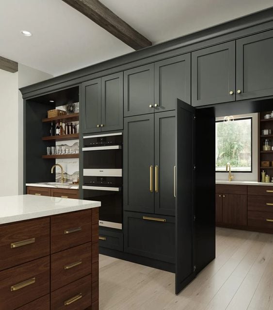 Pantry Walk Through Cabinet Door Contemporary Modern Style Design Dark Green 