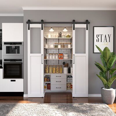 Combining Functionality and Aesthetics in Pantry Cabinet Designs double sliding barn pantry doors with acrylic containers