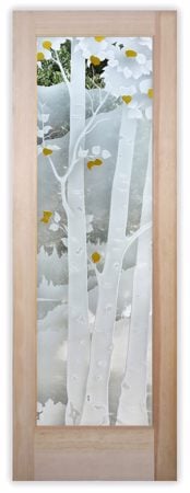Interior Door featuring a Frosted Glass Landscapes Design Sandblast Etched Glass Birch in the Rockies Design by Sans Soucie