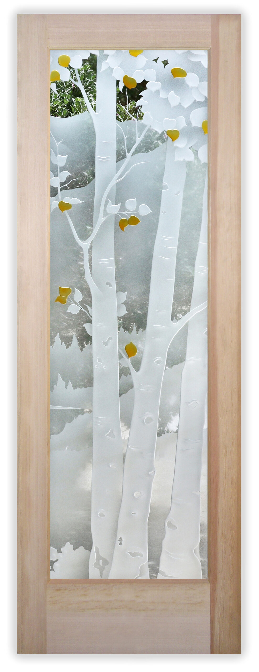 Single exterior door with glass design Birch in the Rockies 3DE