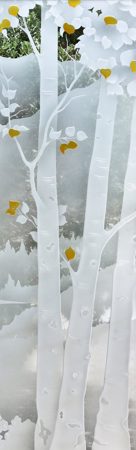 Door Glass Insert featuring a Frosted Glass Landscapes Design Sandblast Etched Glass Birch in the Rockies Design by Sans Soucie