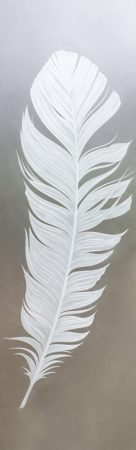 Door Glass Insert featuring a Frosted Glass Foliage Design Sandblast Etched Glass Feather Design by Sans Soucie