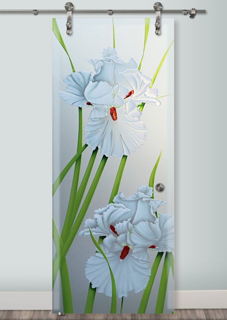 Iris Hummingbird II Private 3D Enhanced Painted Frosted Sliding Glass Barn Doors Floral Design