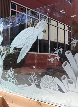 Partition with Frosted Glass Oceanic Aquarium Sea Turtle Design by Sans Soucie