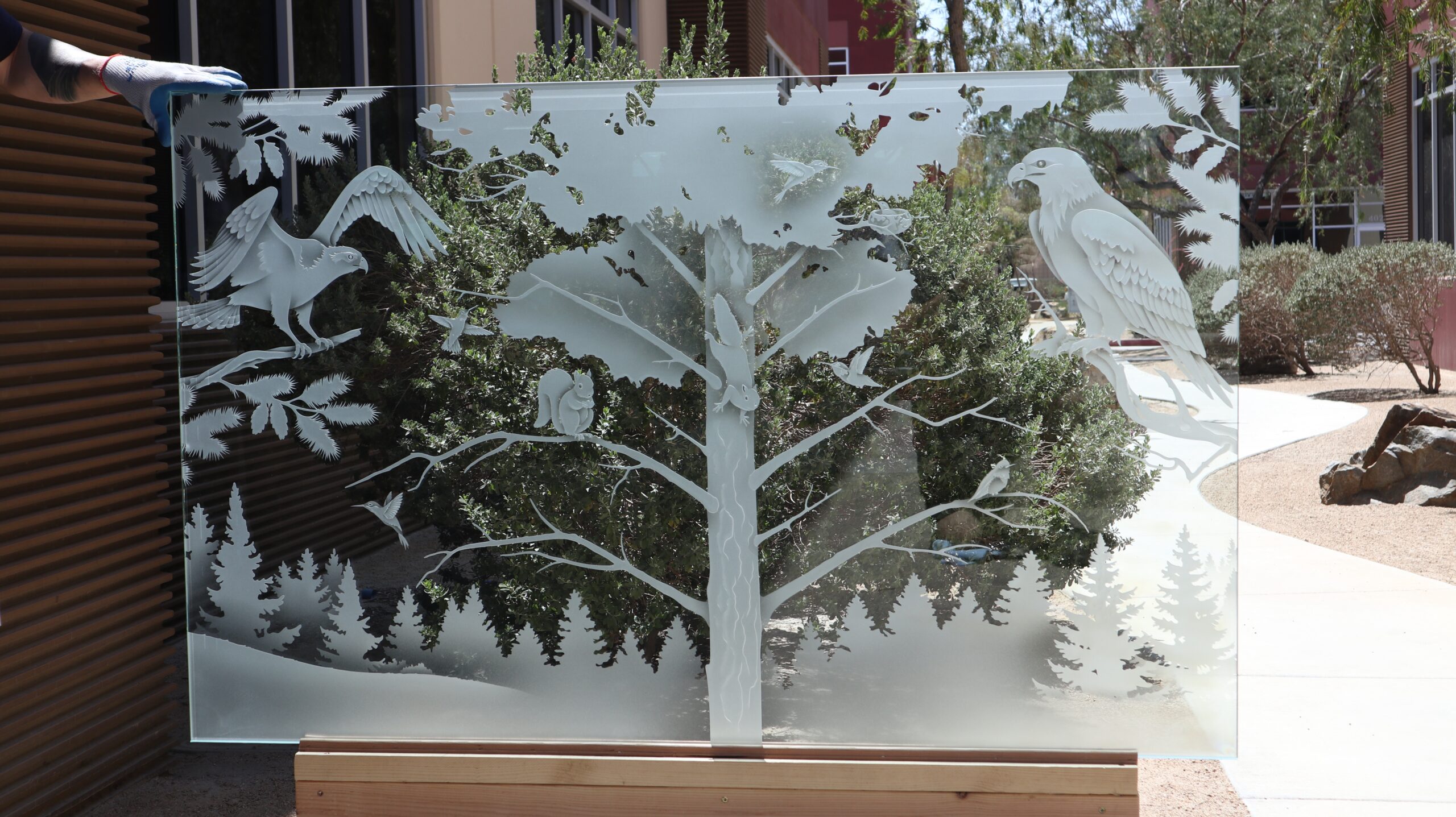 Wildlife carved frosted glass panel featuring birds and forest scene, custom decorative architectural glass