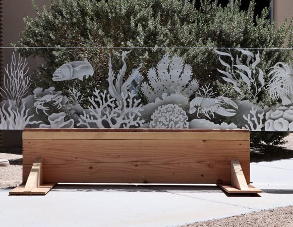Partition featuring a Frosted Glass Oceanic Design Sandblast Etched Glass Under the Sea Design by Sans Soucie