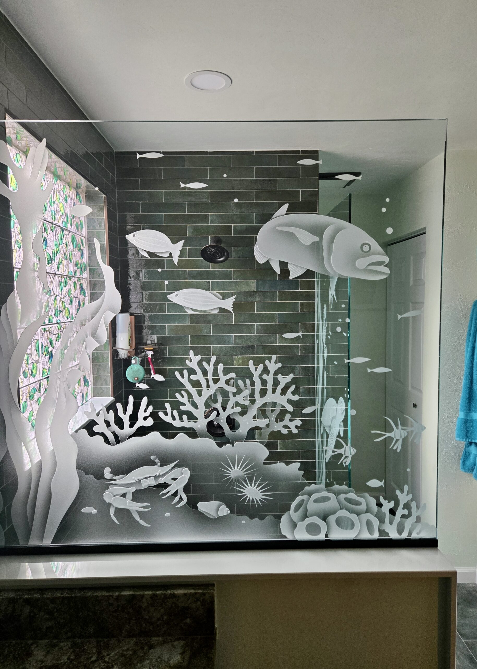 Etched glass partition and room divider: Aquarium Crab & Grouper.