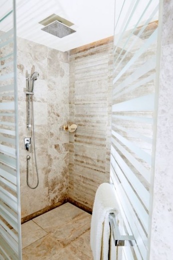Skylight shower window