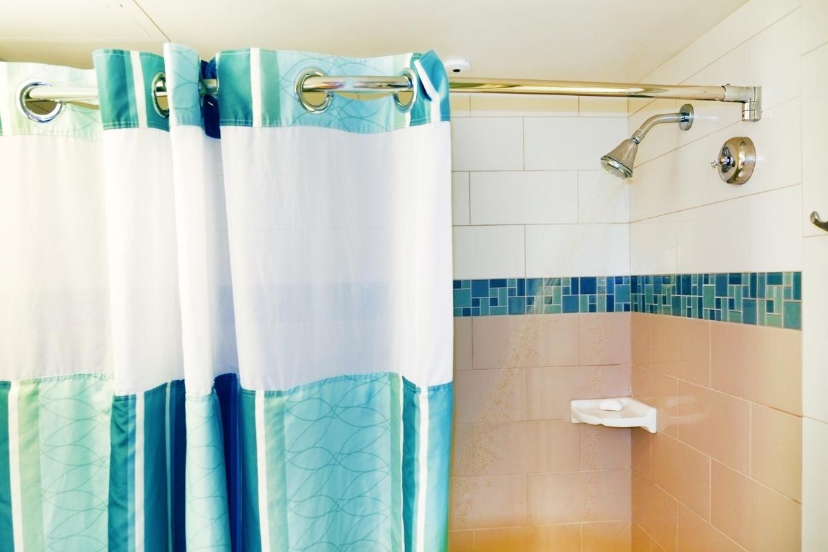 Shower curtain