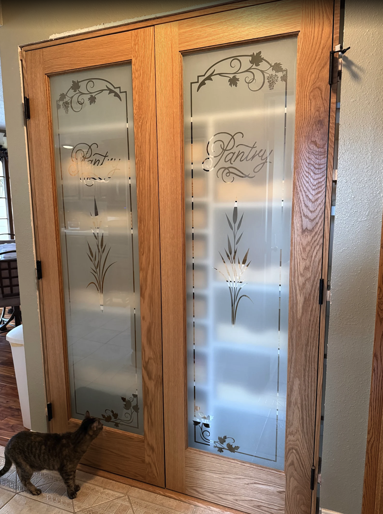 Pantry doors with frosted glass panels featuring vineyard and cattail designs, with a cat standing nearby.